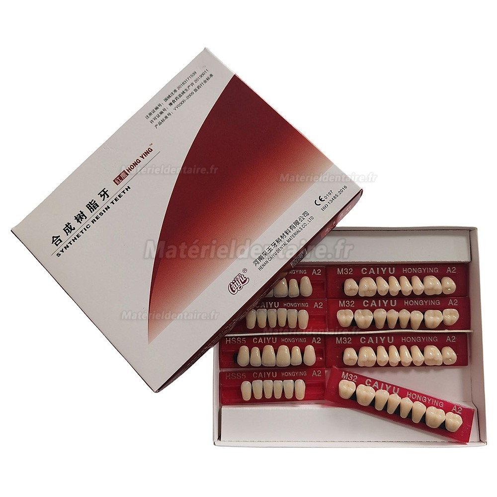 Prothèses dentaires en résine Caiyu Hongying (trois couches de couleur) A1/A2/A3/A3.5/A4